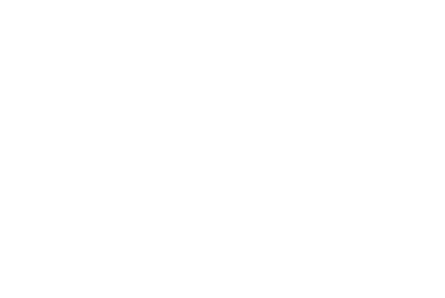 Avon Fencing